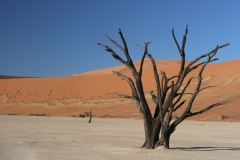 2006-10-04_Namibia_007