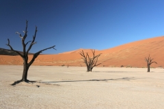 2006-10-04_Namibia_009