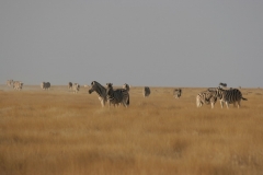 2006-10-04_Namibia_017