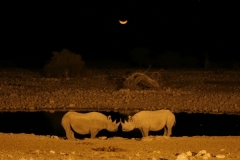 2006-10-04_Namibia_019