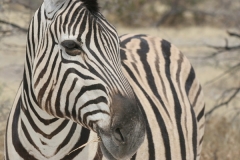 2006-10-04_Namibia_023