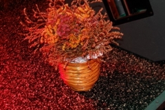 2007-03-09_Progressive_Core_017