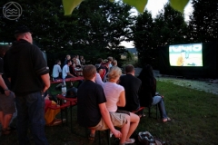 2008-06-29_EM08_Finale_033