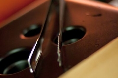 2010-03-26_DL_Attacke_Metatl_059DS
