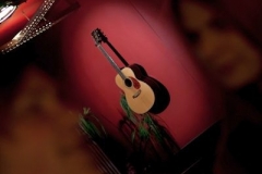2010-03-26_DL_Attacke_Metatl_063DS