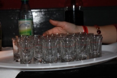 DJ_Abend_Housetiere009