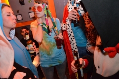 2014_02_28_Musikini-Fasching010