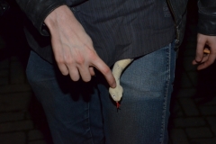 2014_02_28_Musikini-Fasching056