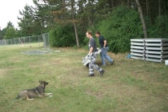 OpenAir_2003_0039